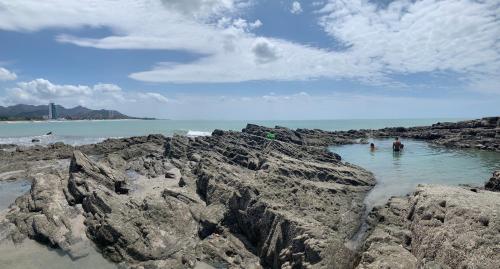 Casa Swell Coronado A unique blend of luxury and nature in the hearth of Coronado