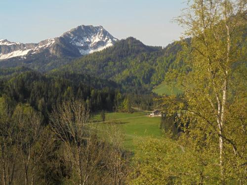 Ferienhaus Nussbaumer