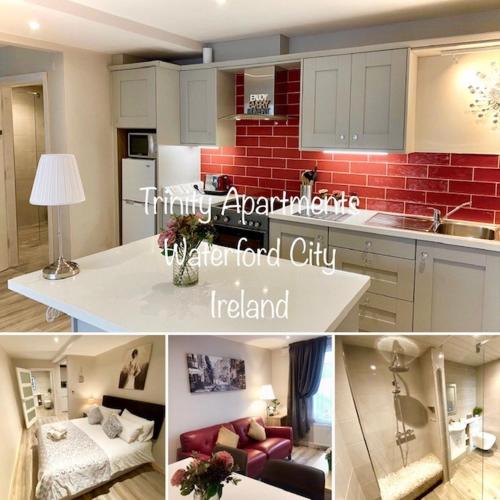 Trinity Apartments Four 1-Bedroom Apts Waterford City Centre