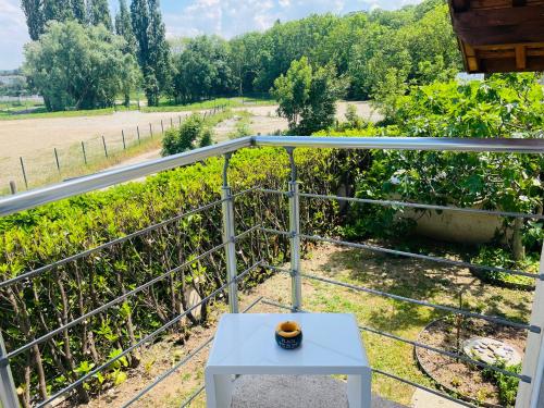 Appartement L'Annexe City - 3 étoiles - Location saisonnière - Thonon-les-Bains