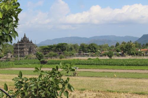 Surrounding environment, Georium Dunia near Prambanan Temple