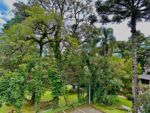Natur Hotel - 700m da Rua Coberta – Gramado, CA