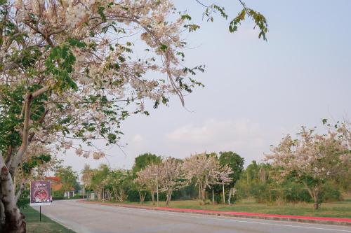 Seastar Hotel and Service Apartment Seastar Hotel and Service Apartment