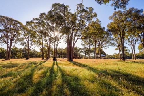 Serenity Gully