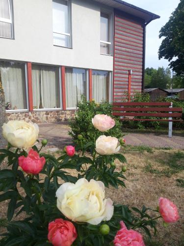 Viesu nams KARPATI in Ventspils