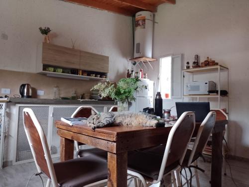 Casa Villa Alba Carpinteria in Karpinterija