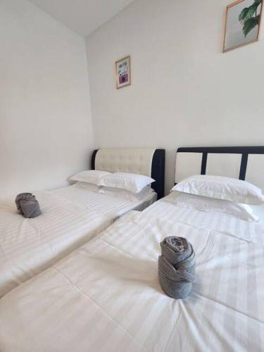 4R4B SDK Traveler Modern loft overlooking downtown