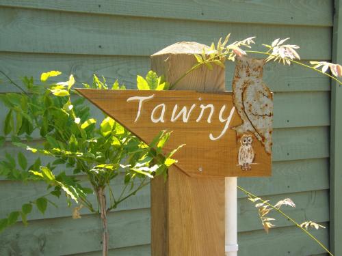 Tawny