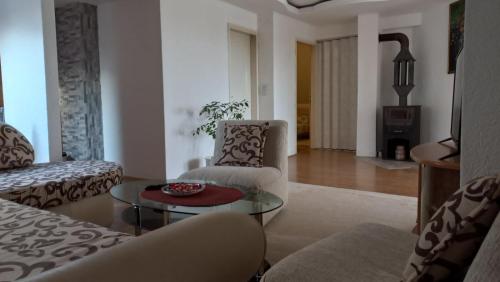 Apartman Saša