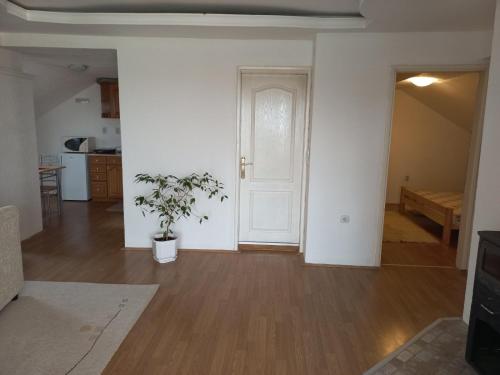 Apartman Saša