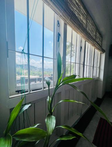 King Room with Lake View image 5