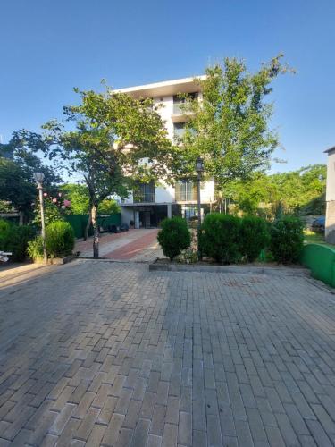 Green Terrace