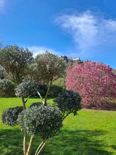 Gîte "Le Tilia" aux magnolias