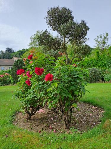 Gîte "Le Tilia" aux magnolias