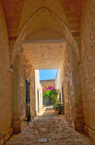 La VELA Otranto - Otranto