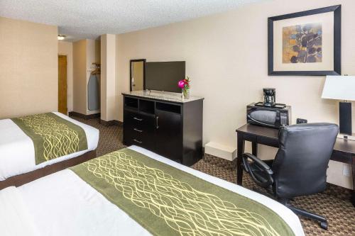 Comfort Inn And Suites