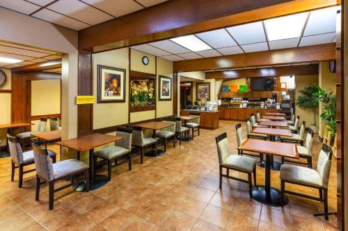 식음료(F&B), Comfort Inn & Suites Edmonton Downtown in 에드먼턴 (AB)