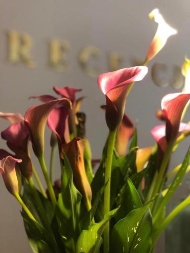 Hotel Stare Miasto Old Town - image 5