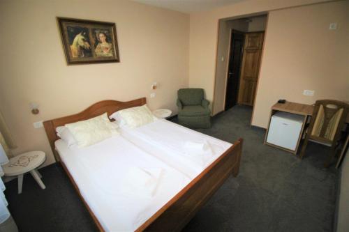 Hotel Pansion Stari Grad - image 5