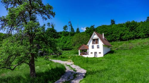 B&B Krupina - Chata Holý Vrch - oáza kľudu a pokoja - Bed and Breakfast Krupina