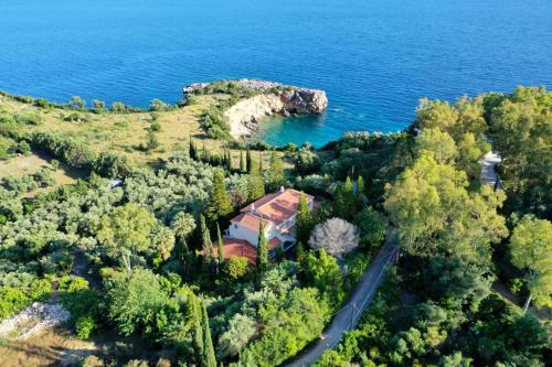 VKastri - image 12