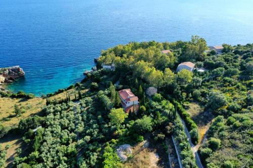VKastri - image 10
