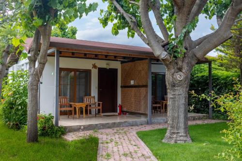 陽台/露台, Caretta Caretta Pension in 希拉里