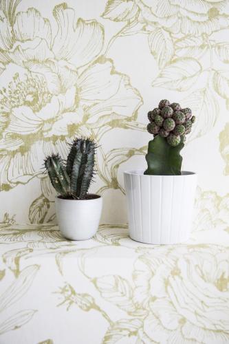 Serendipity Rooms - image 4