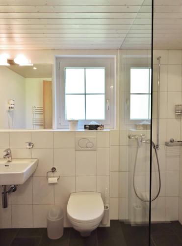 Hotel Posta, Sedrun (fotografie 8)