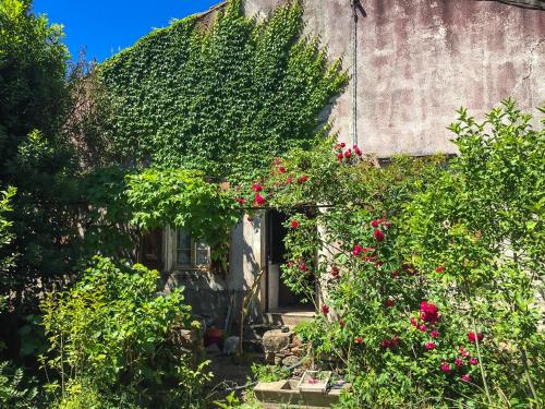 Le Mas du figuier, Maison de vacances - Location saisonnière - Le Bousquet-d'Orb