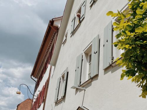 1280 Krone in Geisingen, Deutschland