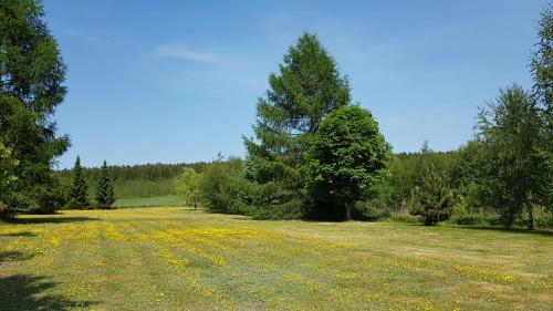 Błękitny Domek Błękitny Domek