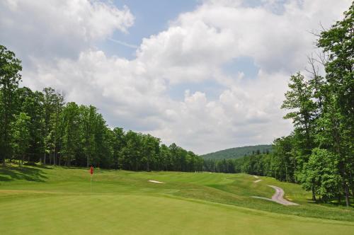 Bear Trap, Swanton (foto 10)
