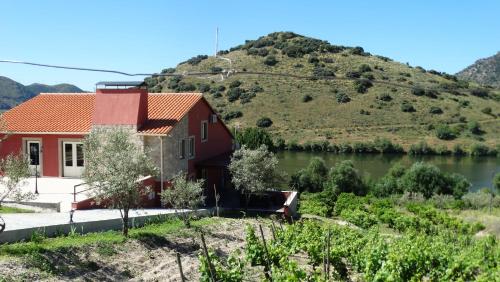 Olhares do Douro - image 4