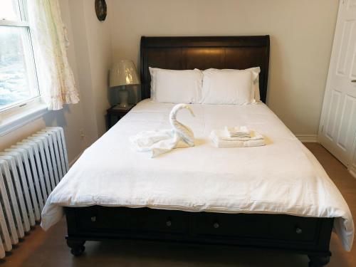 Cozy Private Rm Heart of North York Free Parking Full Kitchen Close to Downtown 3