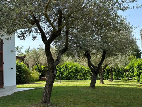  Abitatt Apart-Suite in Fosdinovo