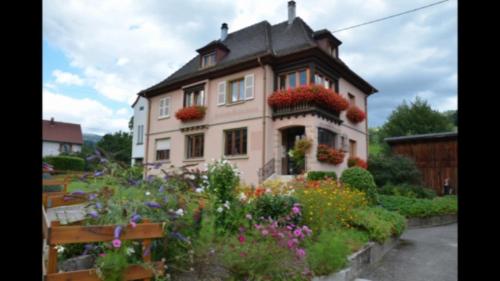 Au chant de la rivière - Apartment - Stosswihr