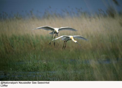 Hotel Zur Post - image 14