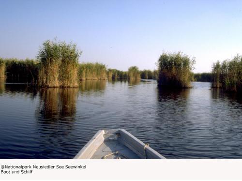 Hotel Zur Post - image 10