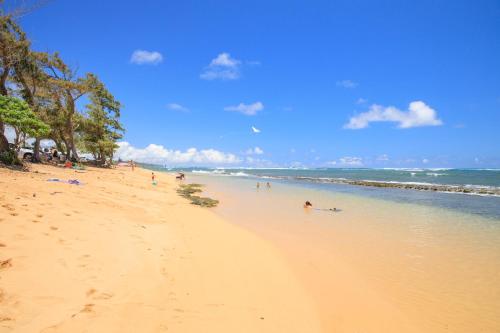 2Br Kauai Kailani Condo, Pool, walk to Ocean & Shops, AC KK117