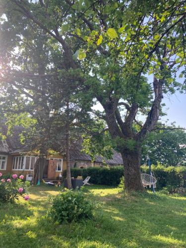 Zen Garden House in Jõgeva