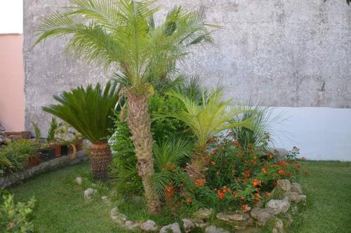 Bouganville, casa sul giardino vicino Otranto