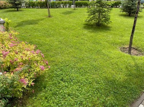 Apartment Mladost 2 - Free Parking, Sofia (photo 8)