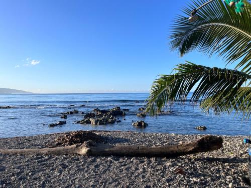 Fare miti Tuaimoe Afaahiti (Beach house)