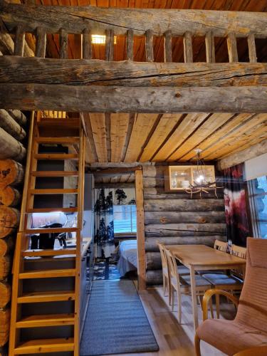 Korpikelo in Tunturipalo