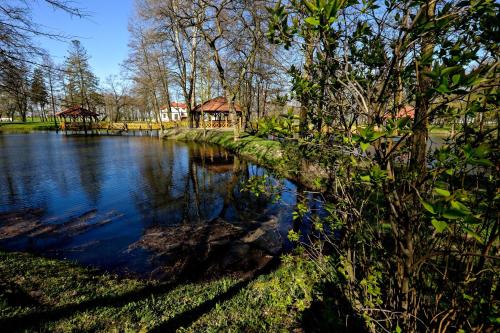 Dwór Stary Chotów - image 12