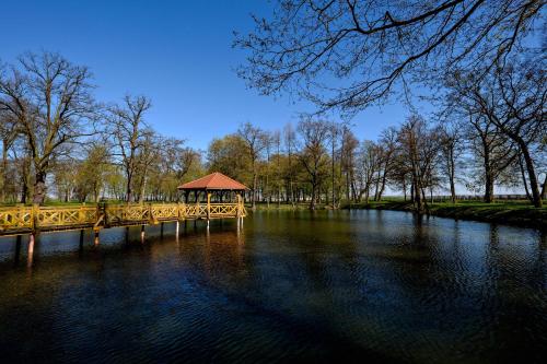 Dwór Stary Chotów - image 3