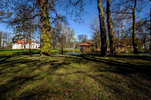 Dwór Stary Chotów - image 5
