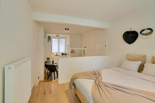New renovated condo's @ trendy south, Amberes (foto 6)