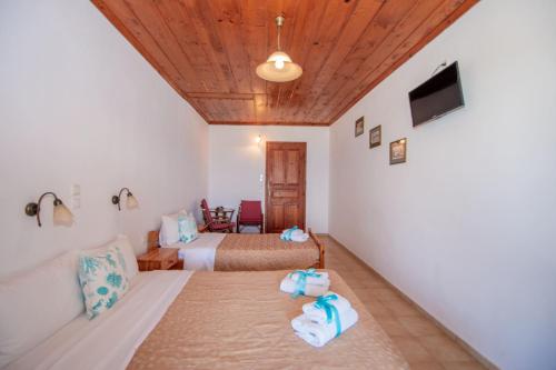 Arpyia - image 6